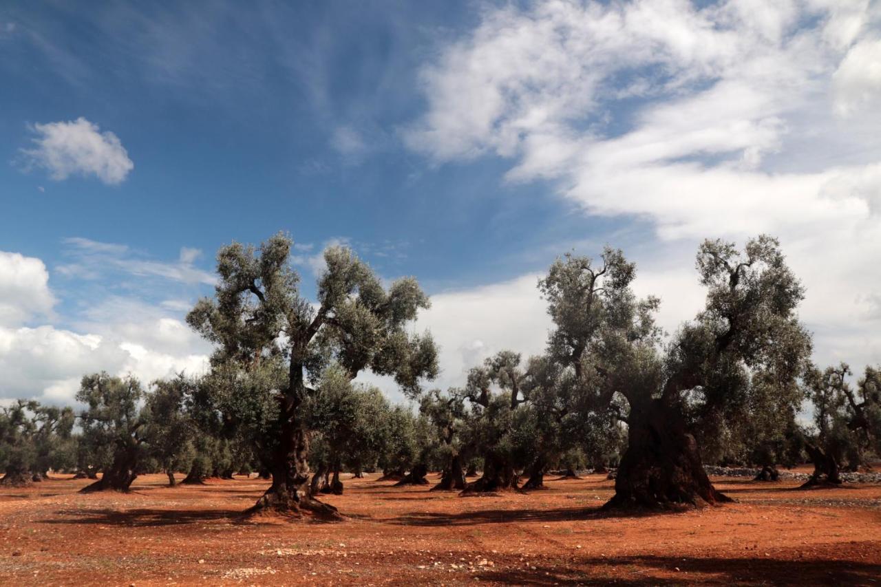 Masseria Conca D'Oro Ostuni Ngoại thất bức ảnh