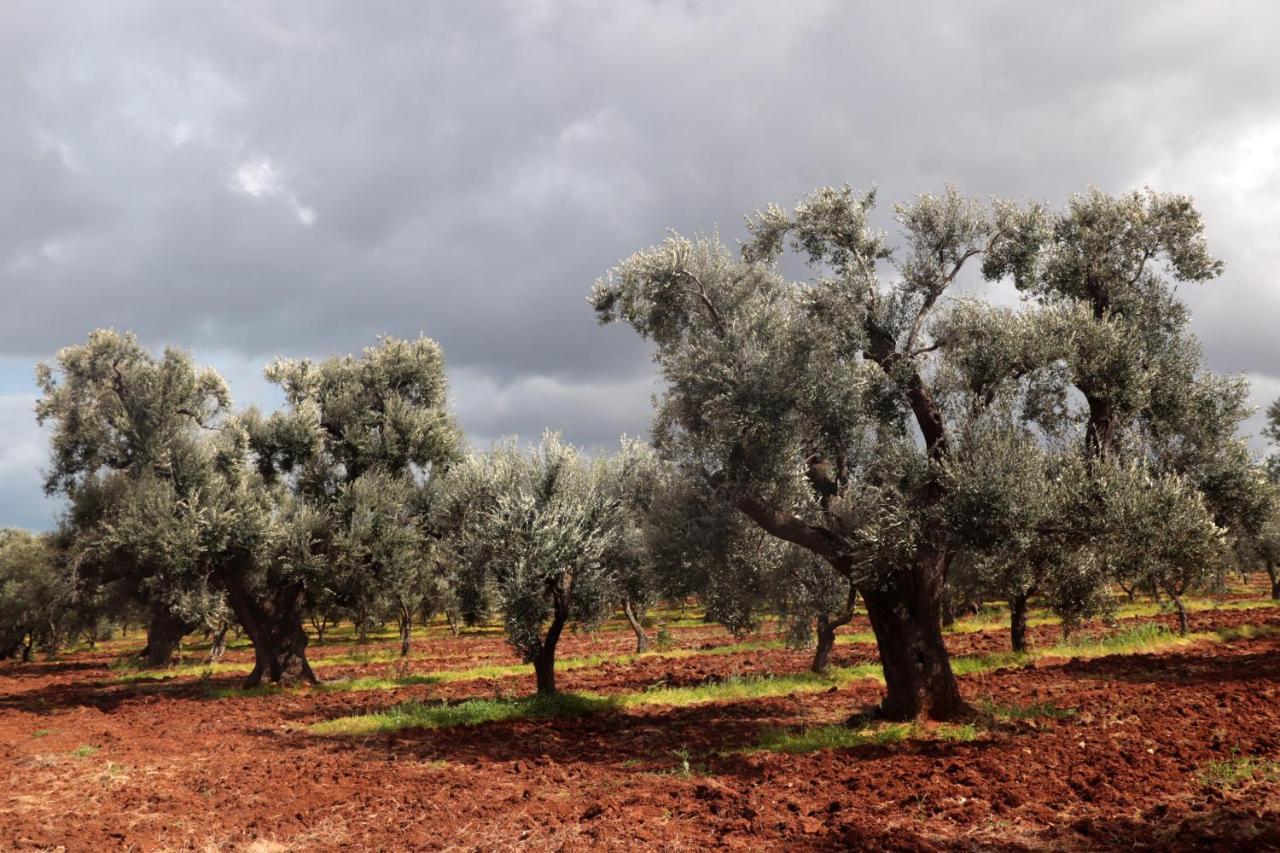 Masseria Conca D'Oro Ostuni Ngoại thất bức ảnh