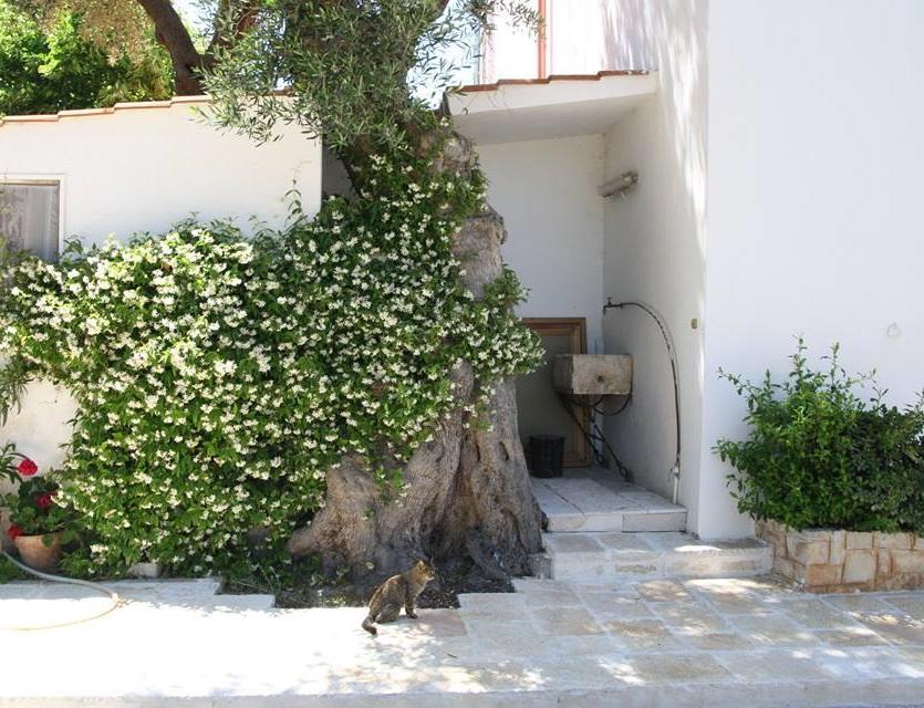 Masseria Conca D'Oro Ostuni Ngoại thất bức ảnh